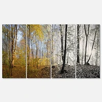Designart - Yellow Morning in Forest Panorama