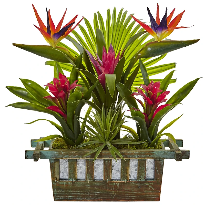 19" Bird of Paradise & Bromeliad in Wooden Planter