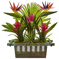 19" Bird of Paradise & Bromeliad in Wooden Planter