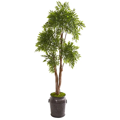 7ft. Ruscus Tree in Planter
