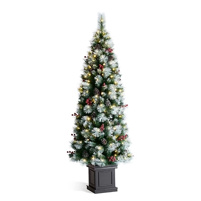 6ft. Pre-Lit Greenery Pinecones & Red Berries Artificial Christmas Porch Tree, Warm White LED Lights