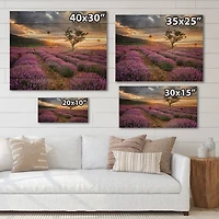 Designart - Sunrise & Dramatic Clouds Over Lavender Field VIII
