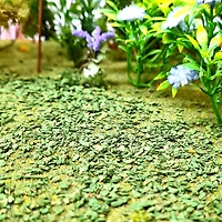 Miniature Medium Green Leaves by Make Market®