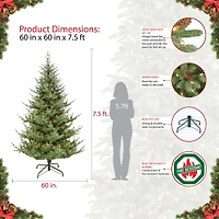 7.5ft. Pre-Lit Hillside Spruce Artificial Christmas Tree, Clear Lights