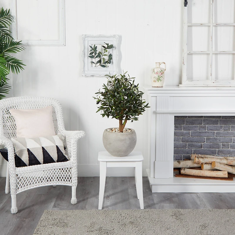 2.5ft. Olive Tree in Bowl Planter