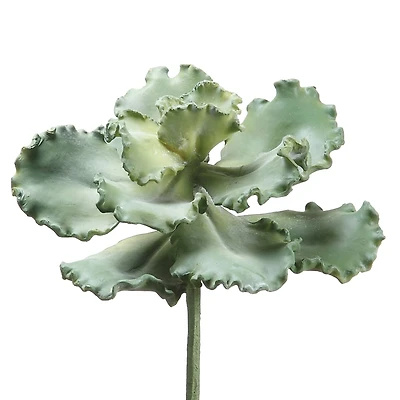 Soft Touch Green Curly Echeveria Pick