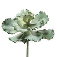 Soft Touch Green Curly Echeveria Pick