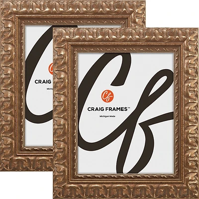Pack Craig Frames Bravada Ornate Bronze Picture Frame