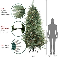 9ft. Pre-Lit Washington Frasier Fir Artificial Christmas Tree, Clear Lights