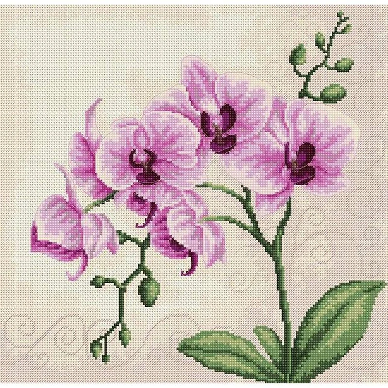 Luca-S Orchid Counted Cross Stitch Kit