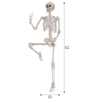 5ft. Poseable Skeleton with Red LED Eyes by Ashland®