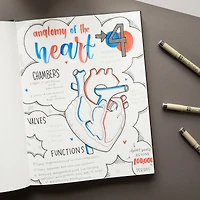 Micron® Fine & Bold Line Light Cool Gray Pen Set