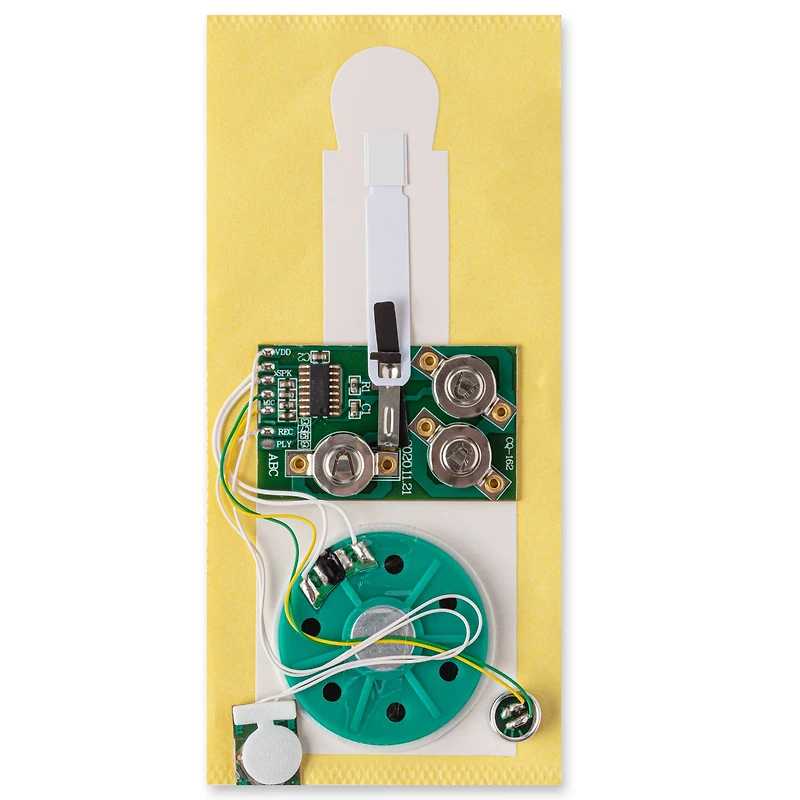 Card Making Recordable Sound Kit by Recollections™