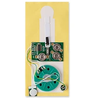 Card Making Recordable Sound Kit by Recollections™