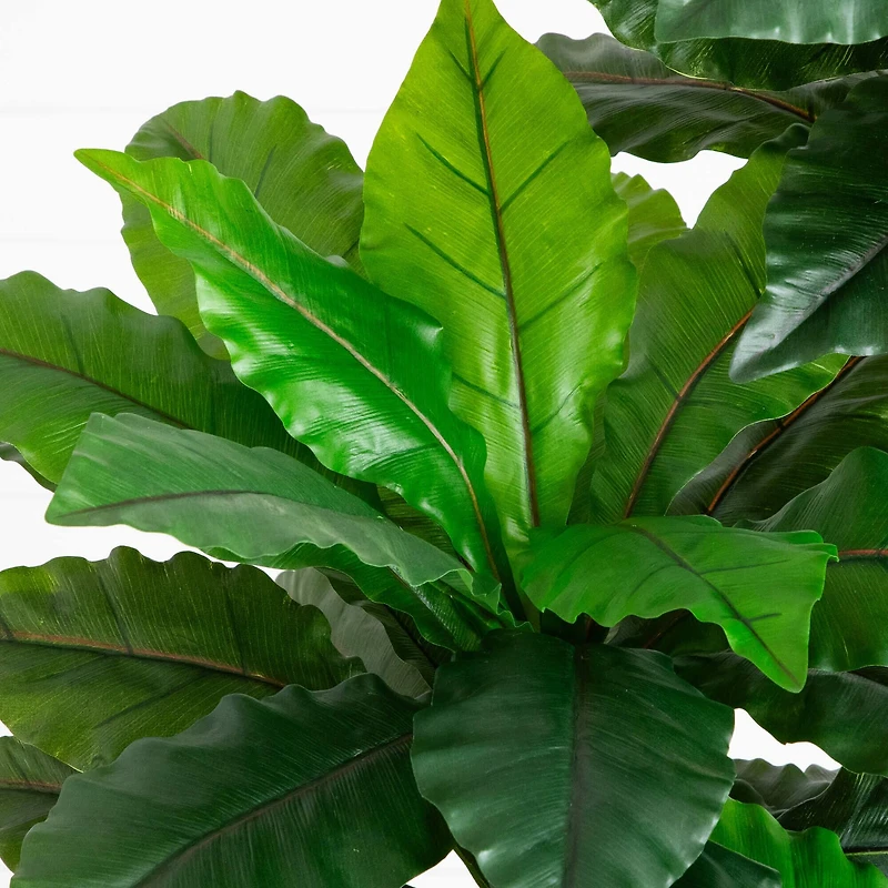 6ft. UV Resistant Artificial Bird Nest Fern Tree (Indoor/Outdoor)