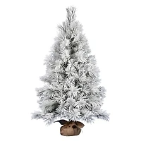 48" Unlit Frosted Beckett Pine Artificial Christmas Tree