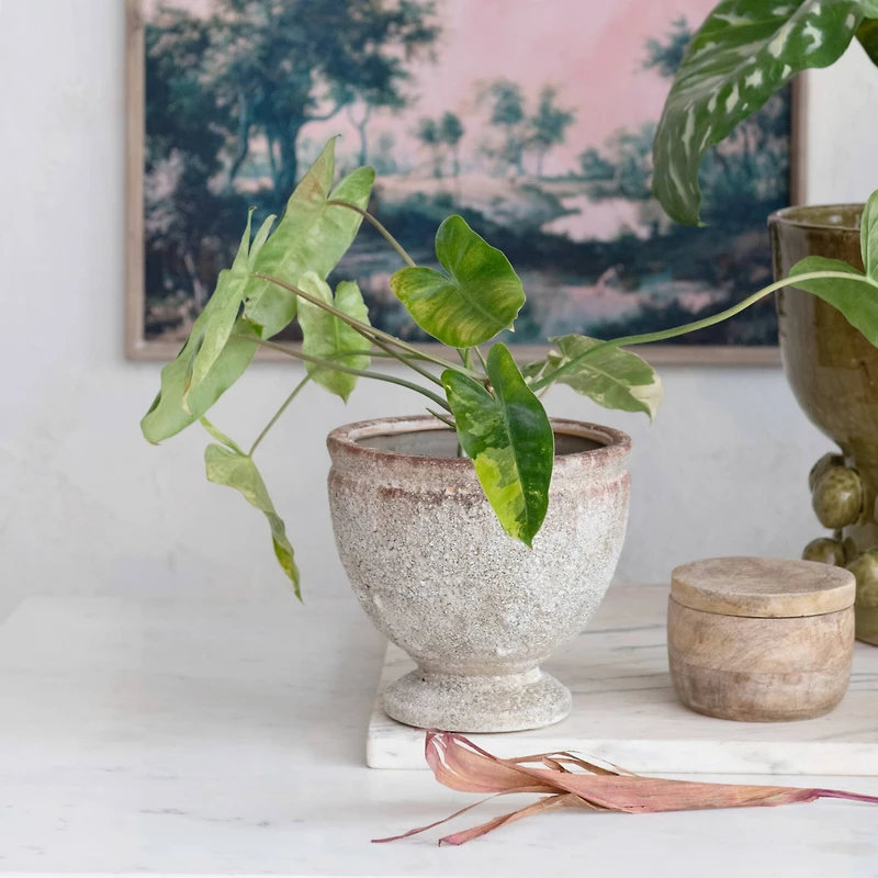 Hello Honey® 8" Round Distressed Terra Cotta Footed Planter