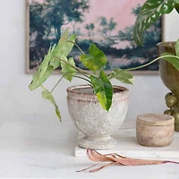 Hello Honey® 8" Round Distressed Terra Cotta Footed Planter