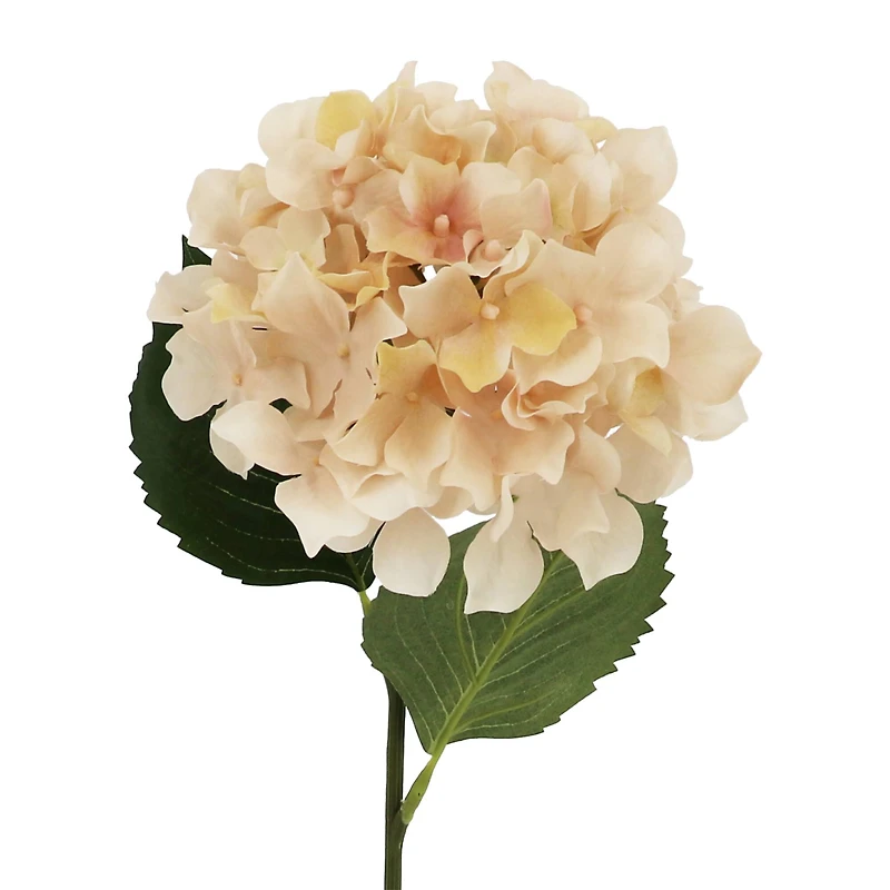 27" Beige Hydrangea Stem by Ashland®