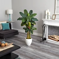 5ft. Double Stalk Banana Tree in White Planter