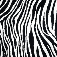 60" Zebra Print Throw Blanket by Ashland®