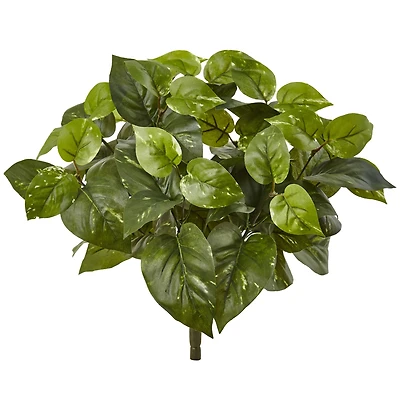 16" Pothos Bush, 6ct.