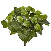 16" Pothos Bush, 6ct.