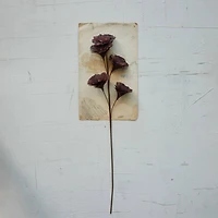 Hello Honey® 33" Burgundy Feather Flower Stem