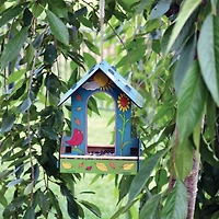 Faber-Castell® Build and Paint Bird Feeder Kit
