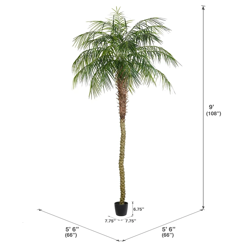 9ft. Potted Phoenix Palm Tree