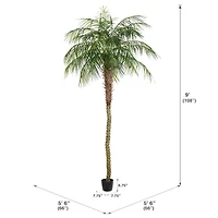 9ft. Potted Phoenix Palm Tree
