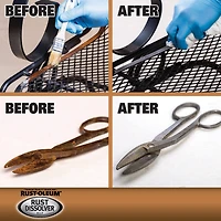 Rust-Oleum® Rust Dissolver Jelly