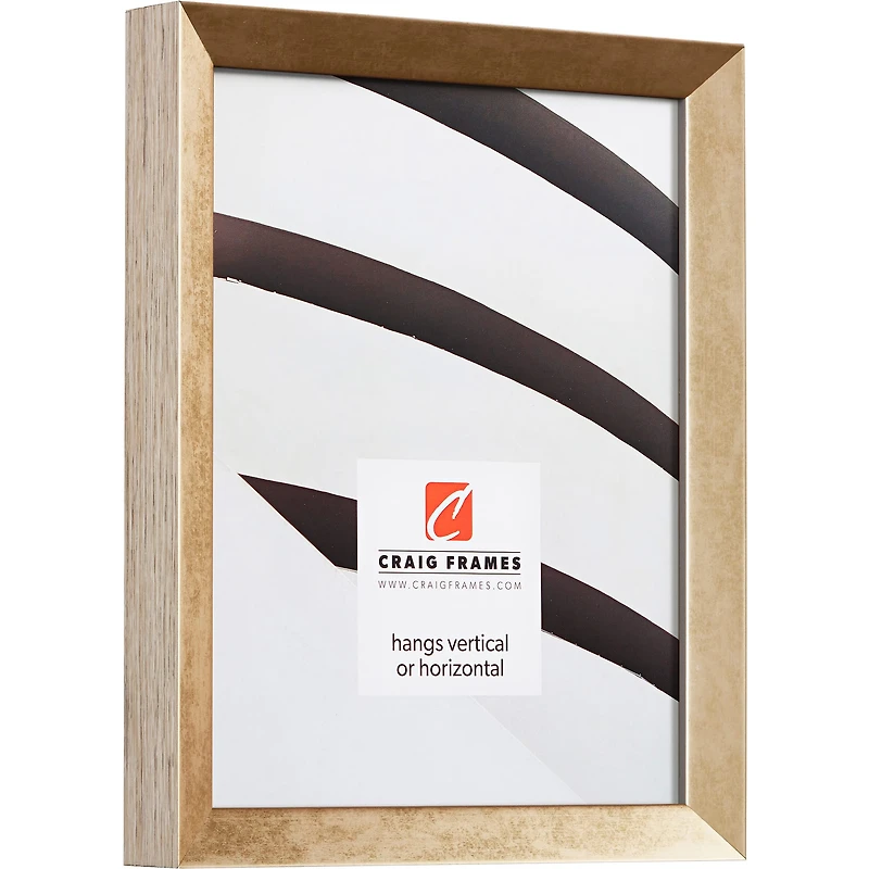 Craig Frames Alloy Aged Gold Picture Frame