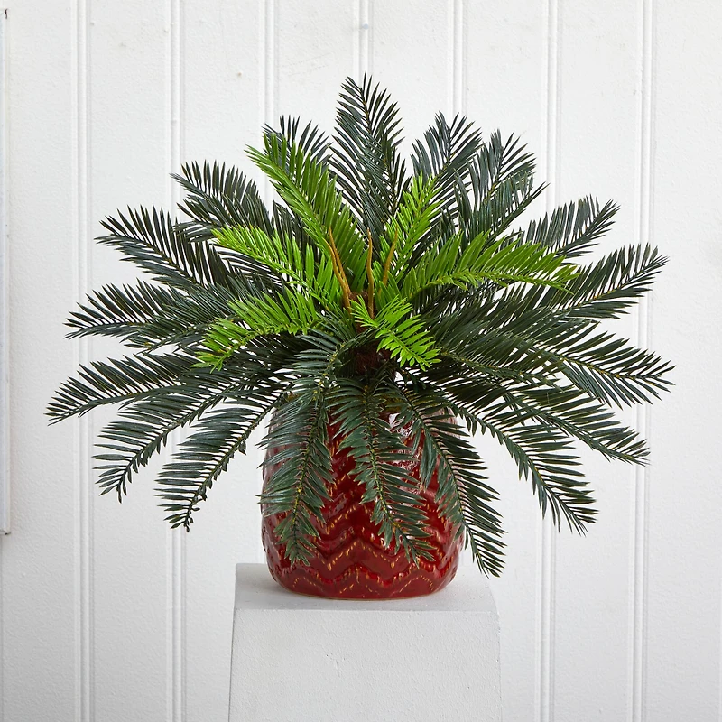 15'' Cycas Palm in Red Ceramic Planter