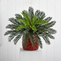 15'' Cycas Palm in Red Ceramic Planter