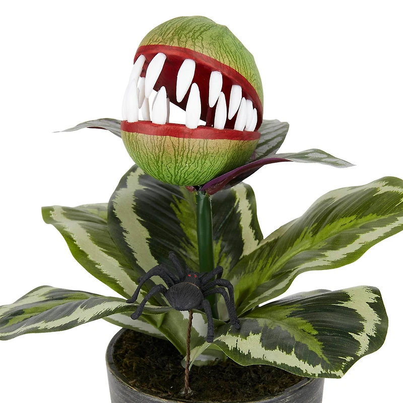 14" Venus Flytrap in Rustic Black Pot by Ashland®