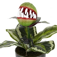 14" Venus Flytrap in Rustic Black Pot by Ashland®