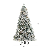 5ft. Pre-Lit Flocked Vermont Mixed Pine Artificial Christmas Tree, Clear LED Lights