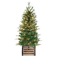 4ft. Pre-Lit Asheville Fir Artificial Christmas Tree with Wooden Crate Base, Clear Lights