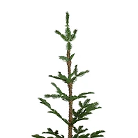 5ft. Unlit Ponderosa Pine Artificial Christmas Tree in Jute Base