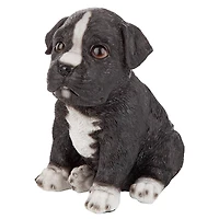 Design Toscano 6" Border Collie Puppy Partner Collectible Dog Statue