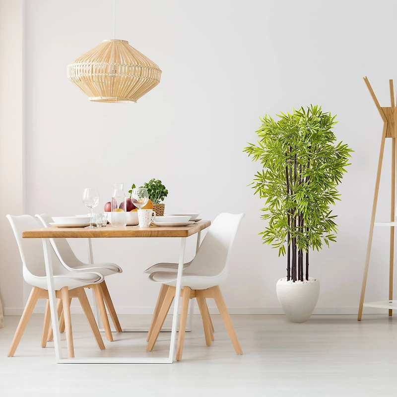 5ft. Bamboo Tree with Black Trunks in Decorative White Planter