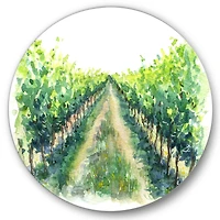 Designart - Rural Scene Vineyard Road