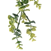 Green Hanging Eucalyptus Bush by Ashland®