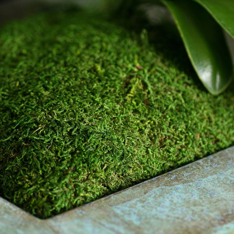 12 Pack: SuperMoss® Preserved Sheet Moss