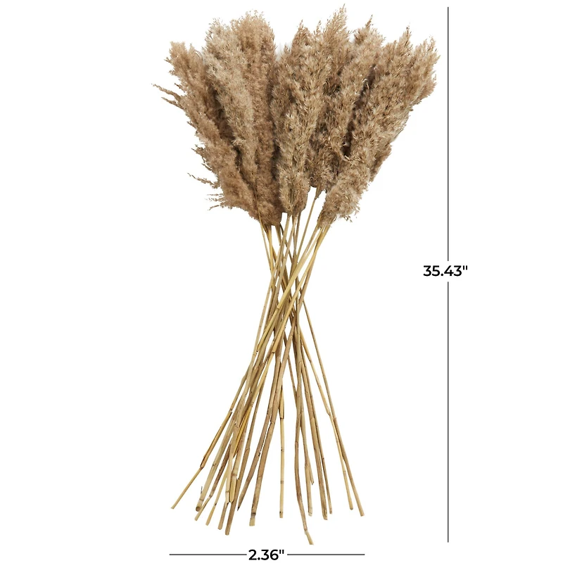 Dried Plant Pampas Natural Foliage with Long Stems