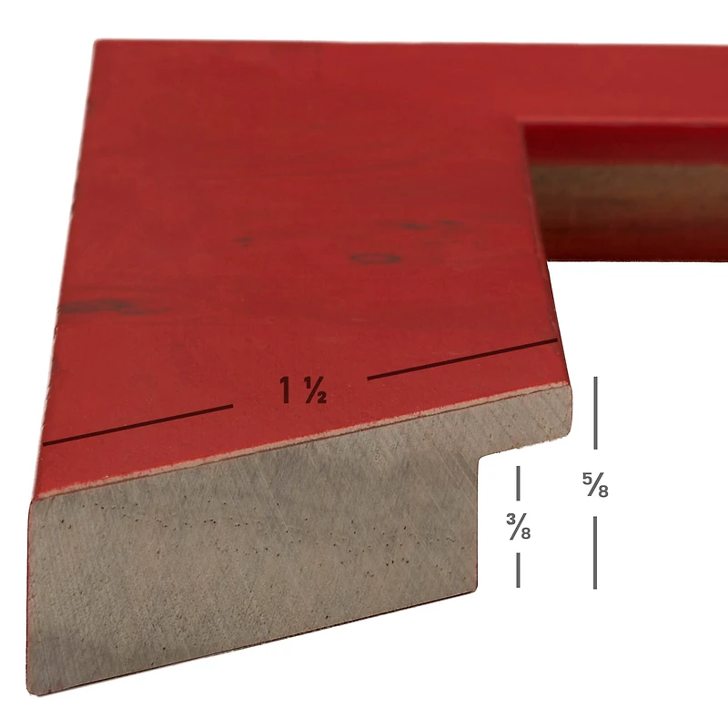 Craig Frames Innovations Burl Picture Frame