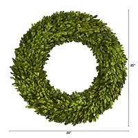 24" Green Preserved Boxwood Wreath