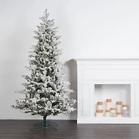 7.5ft. Pre-Lit Frosted Eastern Fraser Fir Artificial Christmas Tree, Warm White LED Lights