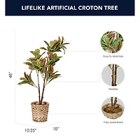 American Art Decor 4ft. Croton Tree in Water Hyacinth Woven Basket
